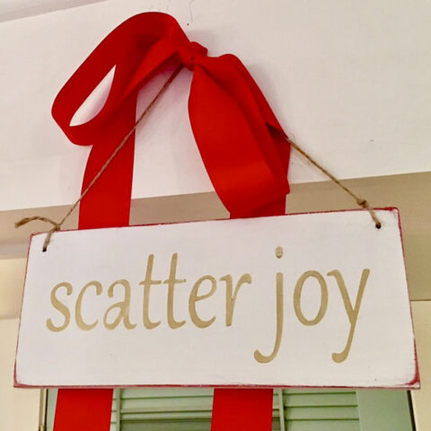 Scatter Joy